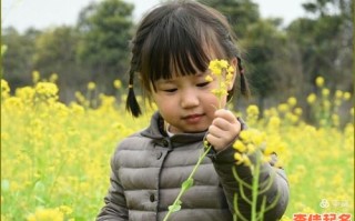 陈语晨这个名字怎么样 陈语什么名字好听女孩