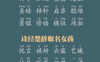2025成语取名双胞胎女孩|精选100对诗意好名分享|诗经楚辞搭配推荐