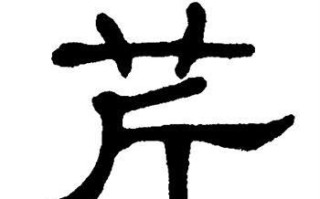 【2025热门】芹字取名的寓意女孩_芹在名字中的诗意含义与优雅气质解析