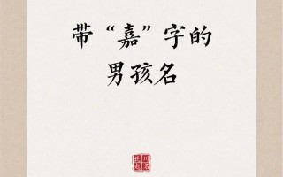 2025精选_女孩带嘉字高雅有涵养的名字大全_寓意吉祥满分推荐