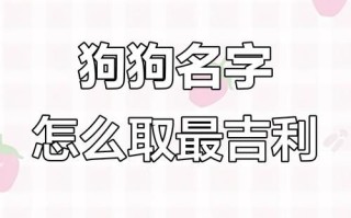 2025年属狗女孩名字|精选高分女宝起名大全·寓意吉祥100分