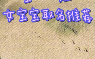 2025董姓女孩名字大全｜吉祥诗意名字推荐与涵养寓意精选