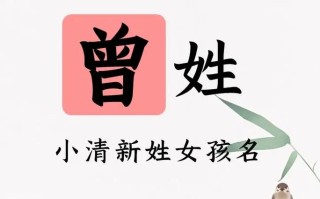 2025曾姓女宝宝取名大全——高分文雅诗意的女孩名字精选_曾姓起名指南