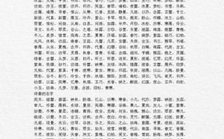 2025年女孩用睿字取名大全_精选睿睿诗意名字_含义解析与搭配指南