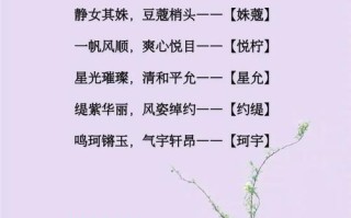 2025锦字取名女孩名字大全｜含锦诗意文雅美名精选合集