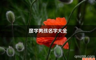 2025新生女孩彦字取名有寓意_带彦甜美涵养的姓名精选大全