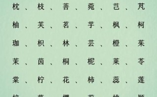 【2025精选】11笔画属木的字_适合女孩名的诗意汉字汇总-起名灵感库