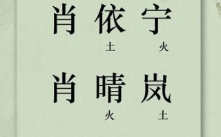 肖氏女孩起名大全 肖氏女孩取名字