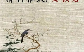 2025父母必看_汐字取名寓意好吗女孩子|女孩雅致名字灵感与避坑全攻略