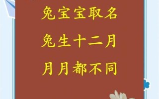 未时女孩兔年命运 兔年未时出生的女孩名字