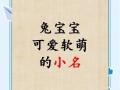 兔年的女孩子的名字 2026年属兔女孩取名字