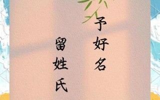 2025最新带智字的女孩名字洋气_高分叠音_诗意三字名精选合集