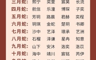 2025|最火洪姓女孩名字灵感大全_2025年蛇宝宝好听爆款推荐