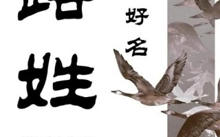 2025最新_路姓女孩名字大全_免费起名灵感_优雅书香寓意推荐