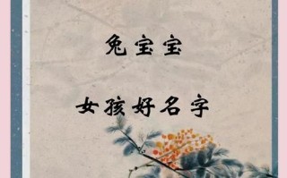 兔年女宝宝名字 兔年的女孩子的名字