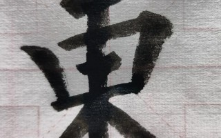 2025带东字的女孩名字寓意_诗意涵养_东字搭配起名高分推荐