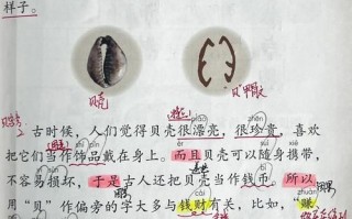 2025最新_贝字取名女孩名字寓意大全_精选古韵今意双押含义解析