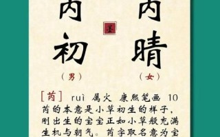 2025女孩名字叫芮寓意丨芮字美好含义详解+取名技巧与实例精选