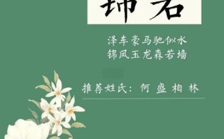 2025最新锦字取名的寓意_含义_女孩起名技巧分享-助力家长选清雅大气美名