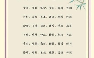 2025最新女孩名字带淑字_寓意温柔高雅的女孩取名精选指南