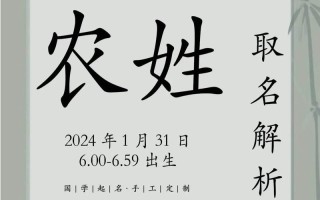 2025最全面带禾字偏旁的女孩名字大全：精选300个寓意丰收的禾部佳名推荐