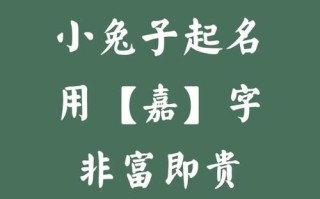 2025精选·嘉字名字女孩名字_超全高分起名灵感·单双字全收录