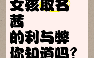 茜字取名的寓意女孩名字_2025年诗经高分唯美吉祥好名字大全