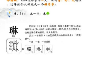 2025最新·超50个带琳字高雅女孩名字精选｜文艺气质十足