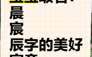 2025最火！带「辰」字组合的女孩名字大全_高雅有诗意的取名精选榜