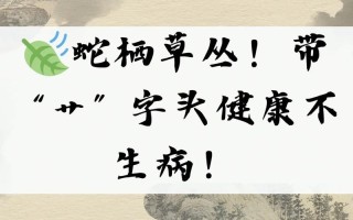 2025年带草字头的适合女孩名字的字_精选寓意温柔甜美高分起名参考