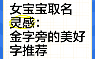 2025爆款！金字旁的女孩名字大全｜寓意富贵高贵的带钅偏旁精选合集