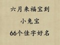 2025年|佳字取名寓意好吗女孩？_寓意解析与诗意名字推荐全收录