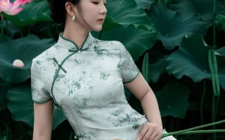 2025优选带荷的女孩名字大全|诗意古风清新雅韵推荐合集