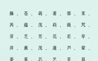 2025最新草字头的字女孩名字大全丨诗意好听精选推荐