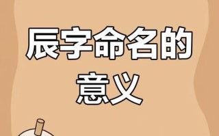 2025最新辰字取名女孩的寓意_古风清雅吉名含义解析大全