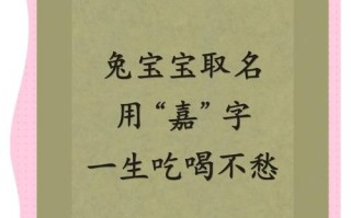 2025_嘉字女孩名字用嘉字起名精选_寓意美好大气的嘉字搭配大全
