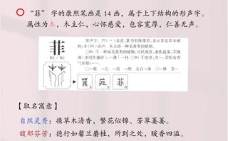 2025女孩起名热门单字菲字含义深度解析·读音五行寓意全收录