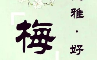 2025最新热门推荐！梅姓好听的女孩名字，温柔诗意不重名精选