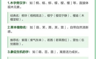 五行带木得女孩子名字 带木字的女孩名字五行缺木怎么起名