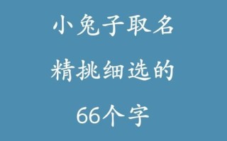 兔年女孩小名 女孩子小名2026属兔