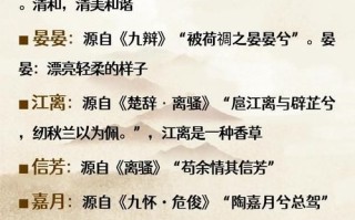 2025精选|楚字好听的女孩名字_温柔气质_古风诗意_楚字取名全攻略