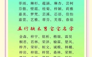 2025超全带木字女孩名字·精选寓意好·高分温柔文静起名攻略