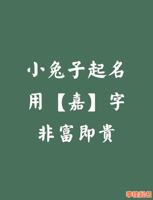 2025精选·嘉字名字女孩名字_超全高分起名灵感·单双字全收录-第1张图片 2025精选·嘉字名字女孩名字_超全高分起名灵感·单双字全收录-第1张图片