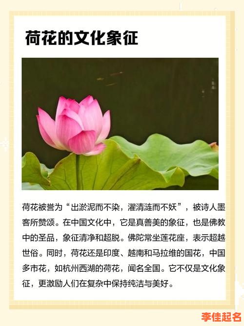 2025荷字取名女孩名字寓意大全|含荷古风雅韵名推荐精选-第1张图片 2025荷字取名女孩名字寓意大全|含荷古风雅韵名推荐精选-第1张图片