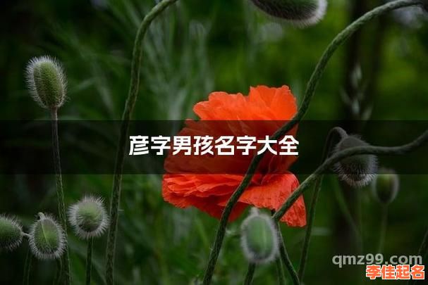 2025新生女孩彦字取名有寓意_带彦甜美涵养的姓名精选大全-第1张图片 2025新生女孩彦字取名有寓意_带彦甜美涵养的姓名精选大全-第1张图片