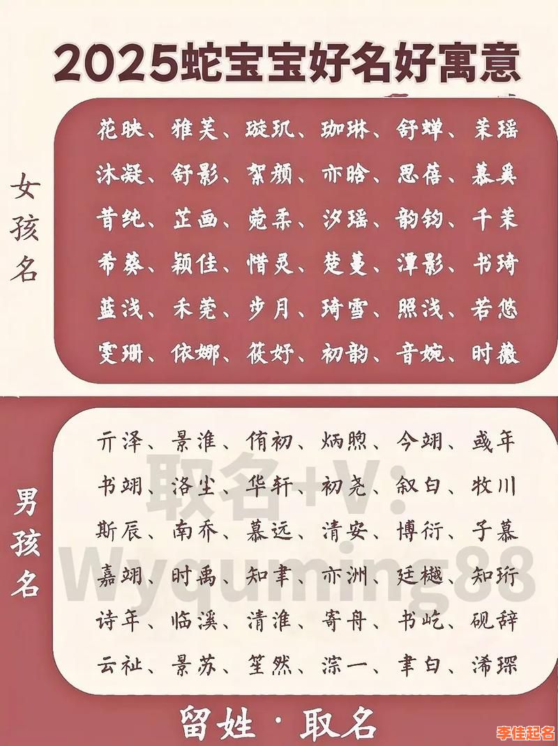 2025起名字取名女孩：精选高雅甜美寓意满分女宝名字大全_宝宝起名指南-第1张图片
