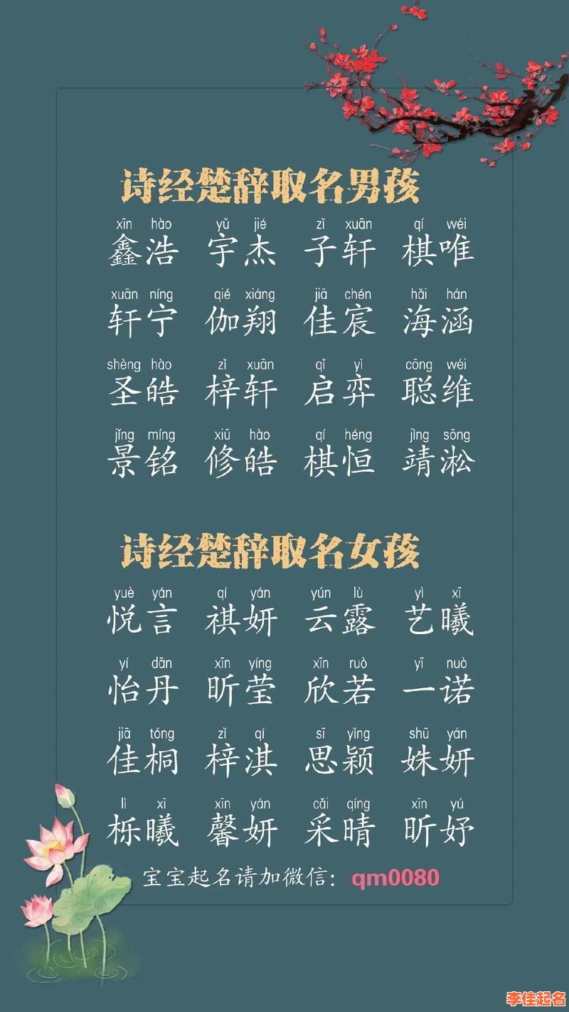 2025成语取名双胞胎女孩|精选100对诗意好名分享|诗经楚辞搭配推荐-第1张图片