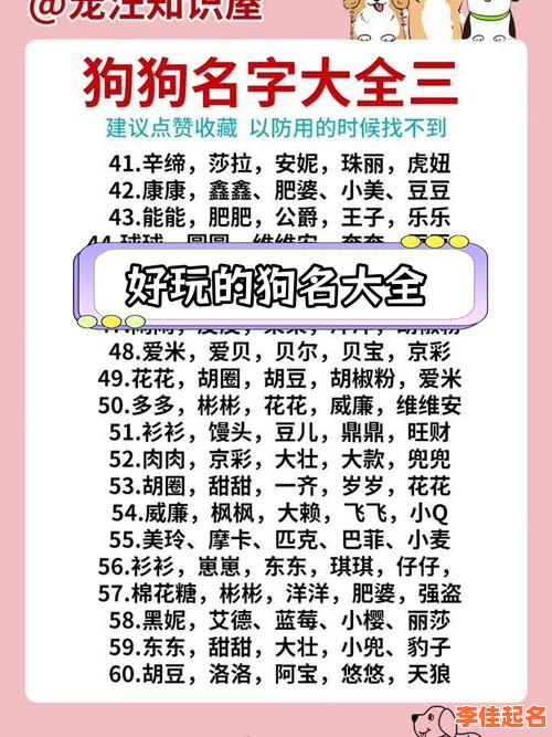 2025属狗女孩名字精选_高雅有气质的女宝宝取名合集推荐-第1张图片
