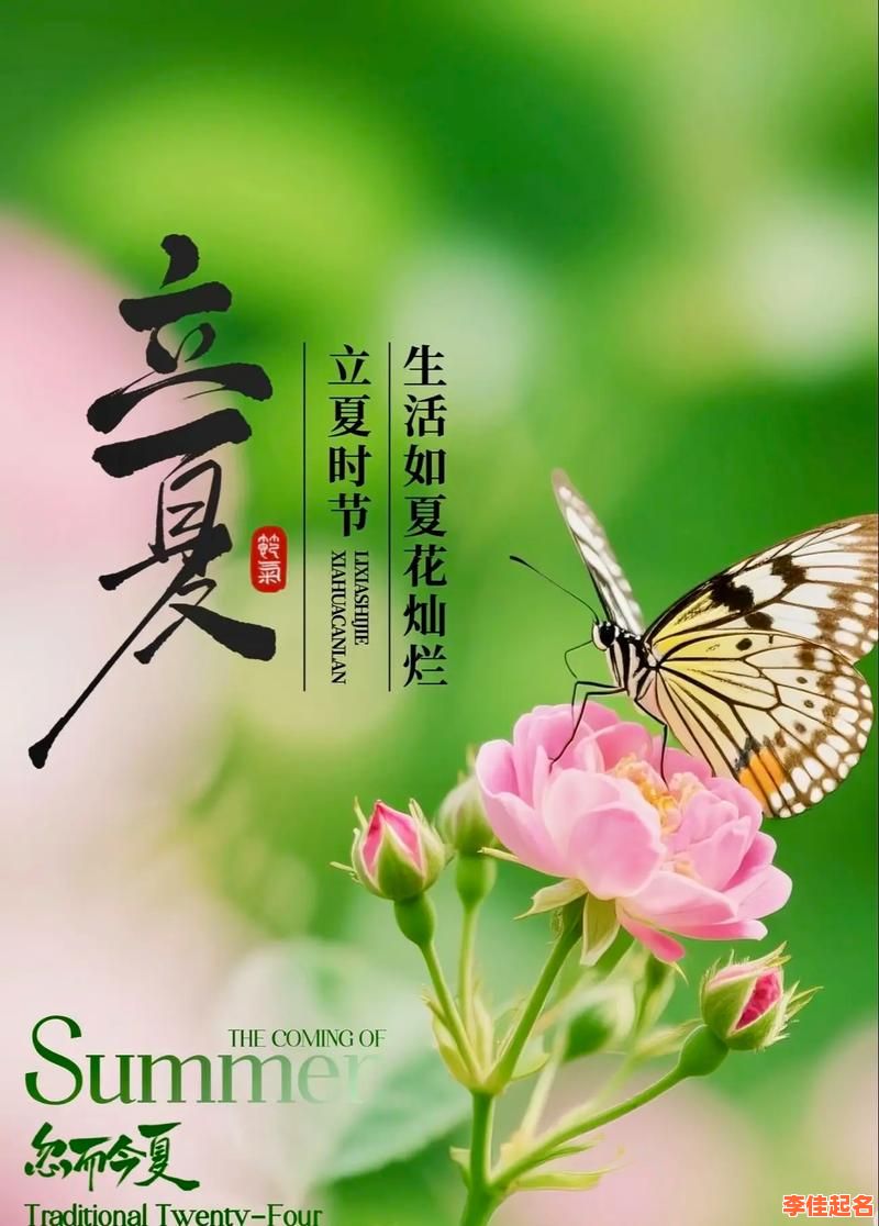 2025立夏节气出生的女孩名字精选|节气寓意诗意唯美女孩起名宝典-第1张图片