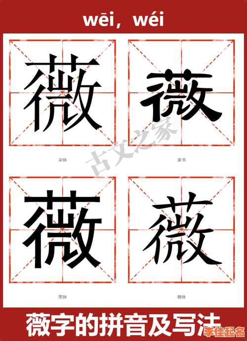 2025年女孩子起名用薇字好吗｜薇字取名寓意深度解析及诗意名字举例-第1张图片